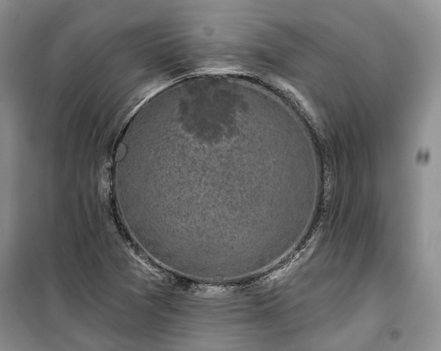 X0000100371361200806131028