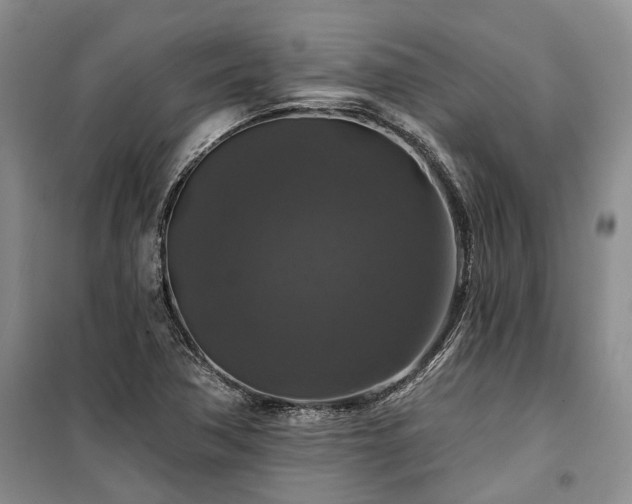 X0000100371362200806131028