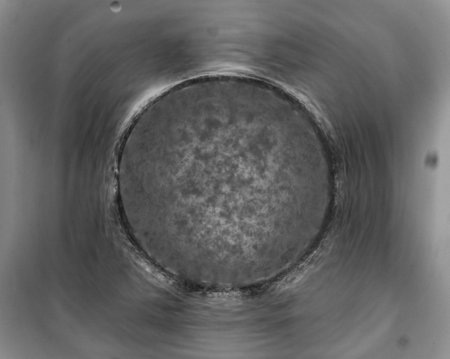 X0000100371363200806131028