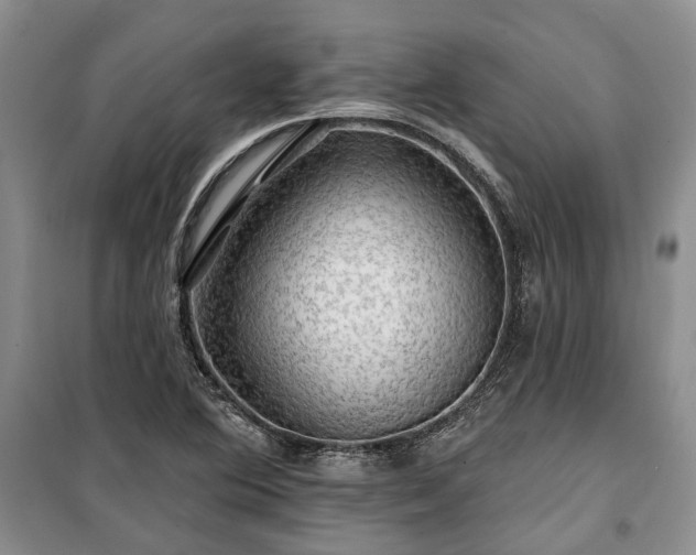 X0000100371364200806131028