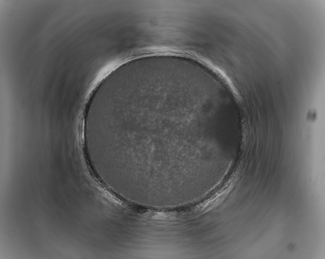 X0000100371365200806131028