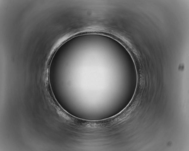 X0000100371366200806131028