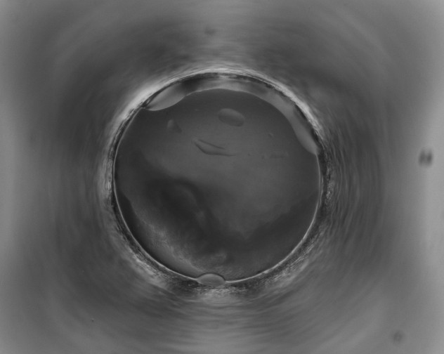 X0000100371367200806131028