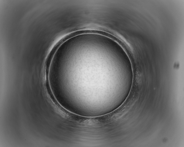 X0000100371368200806131028