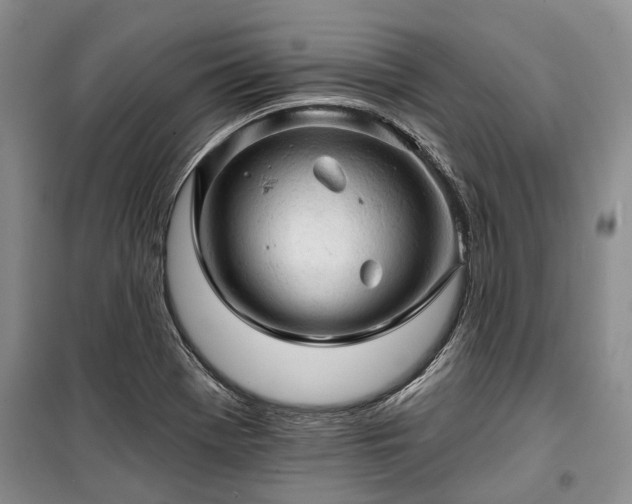 X0000100371369200806131028