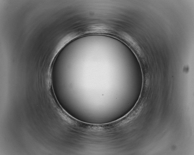 X0000100371370200806131028