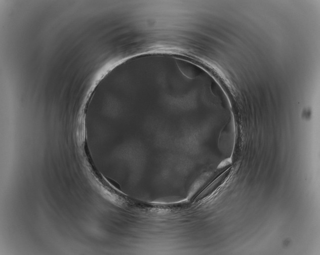 X0000100371371200806131027