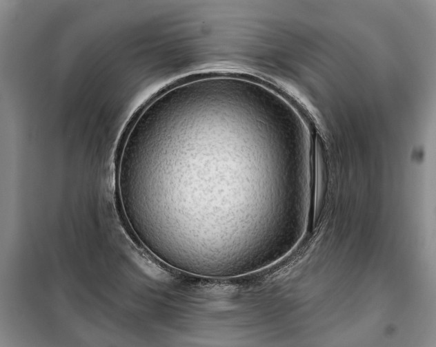 X0000100371372200806131027