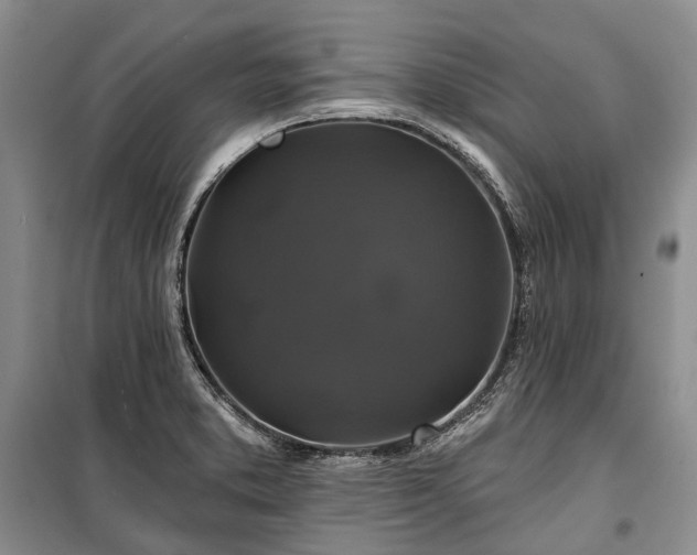 X0000100371373200806131027