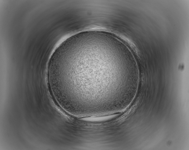 X0000100371374200806131027