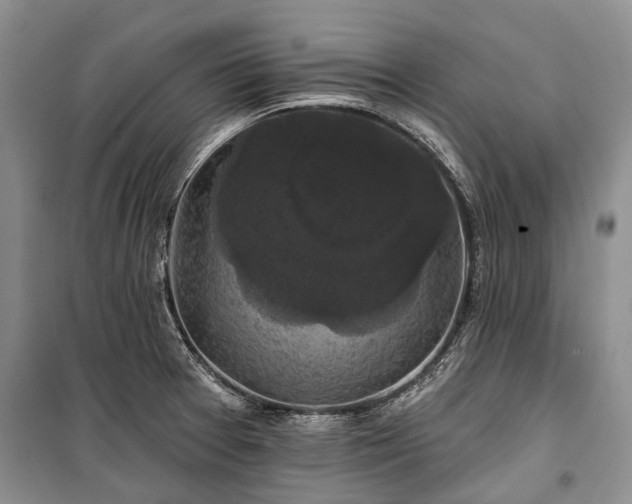 X0000100371377200806131027