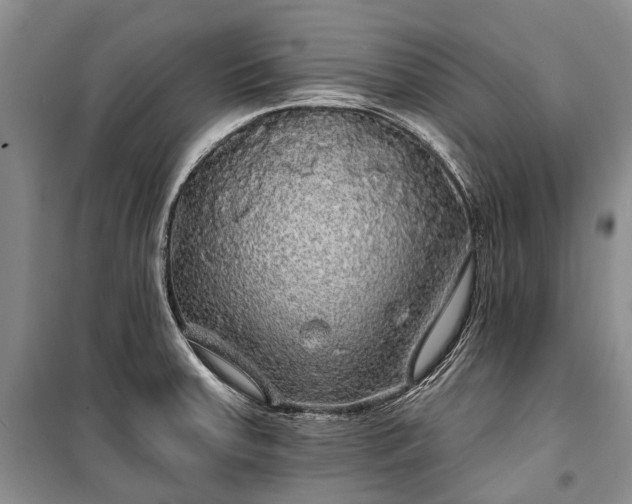 X0000100371379200806131027