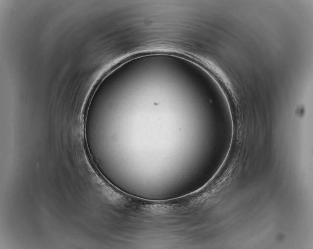 X0000100371380200806131027