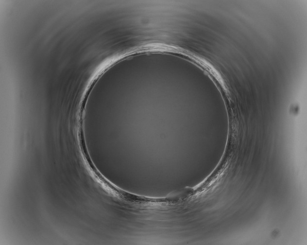 X0000100371381200806131027