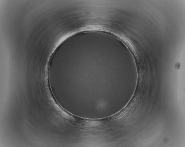 X0000100371382200806131027