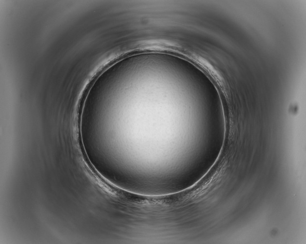 X0000100371384200806131027