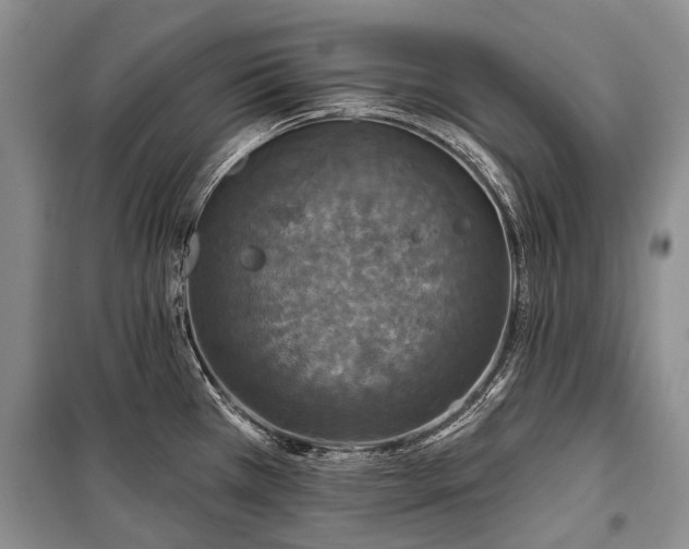 X0000100371385200806131027