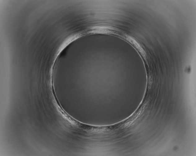 X0000100371386200806131027