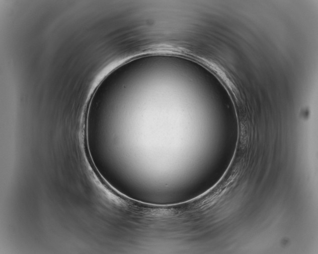 X0000100371387200806131027