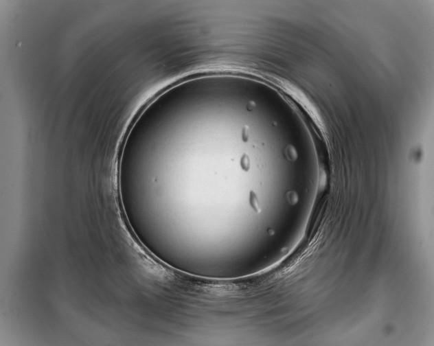 X0000100371388200806131027