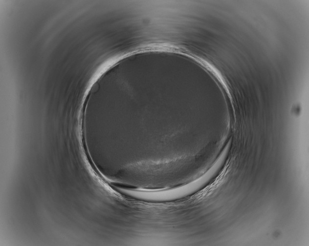 X0000100371389200806131027