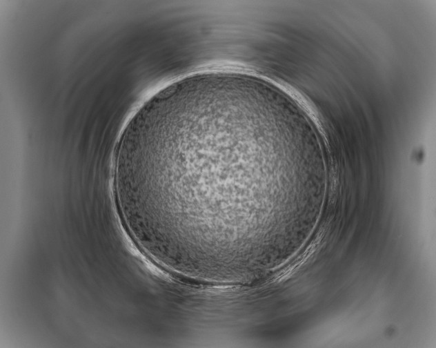 X0000100371390200806131027