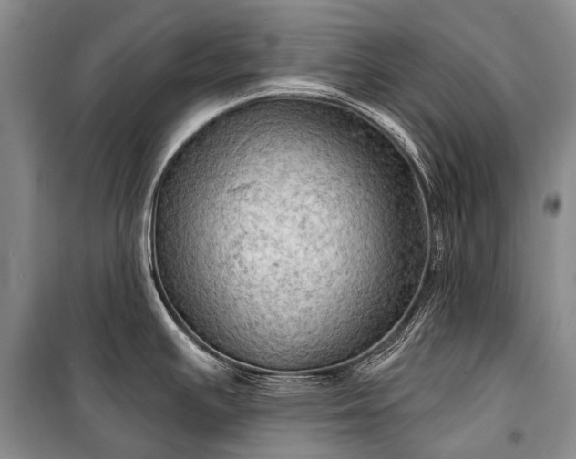 X0000100371391200806131027