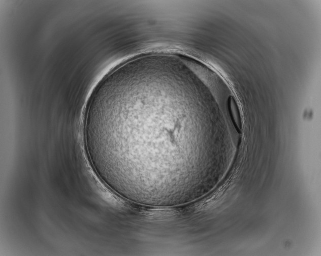 X0000100371392200806131027