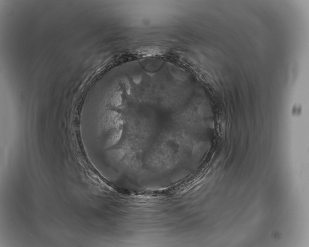 X0000100371393200806131026