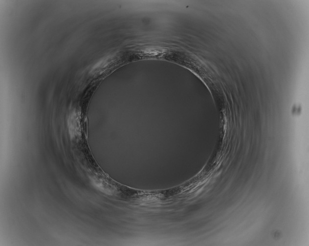 X0000100371394200806131026