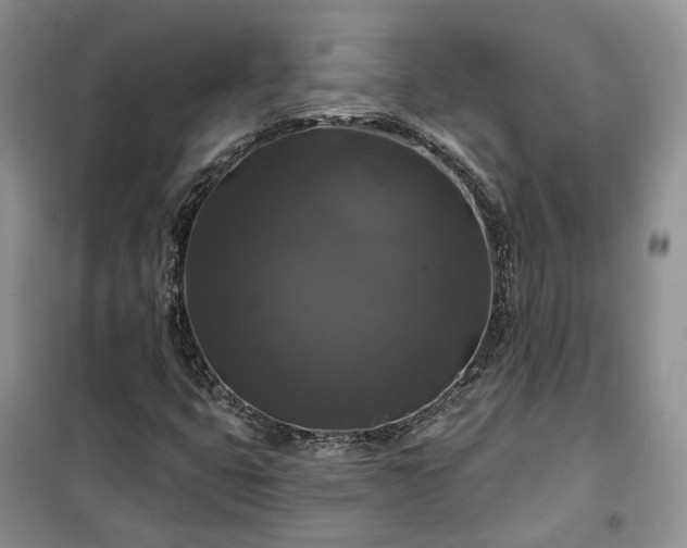 X0000100371399200806131026