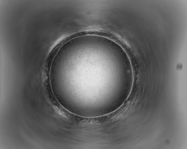 X0000100371400200806131026