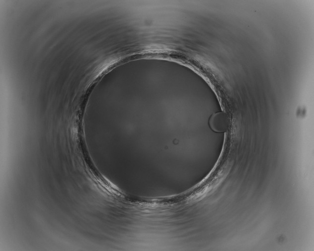 X0000100371401200806131026