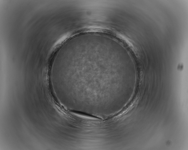 X0000100371403200806131027