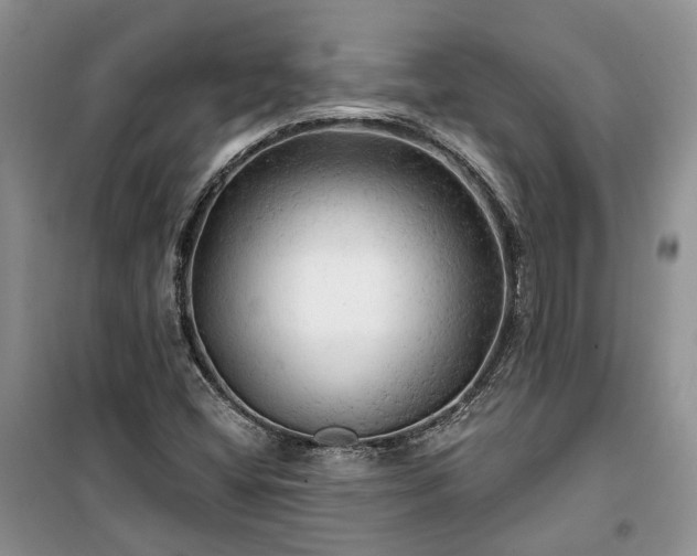 X0000100371404200806131027