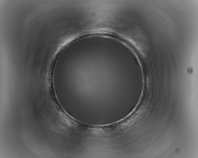 X0000100371405200806131027