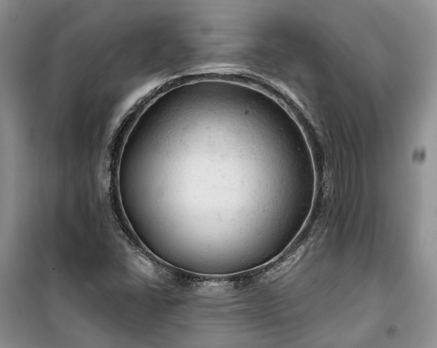 X0000100371406200806131027