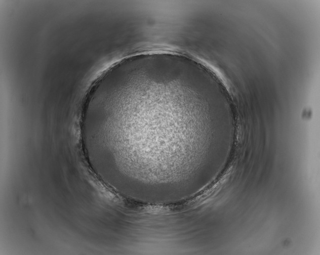 X0000100371407200806131027