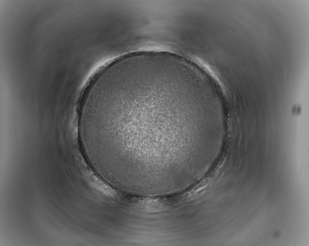 X0000100371408200806131027