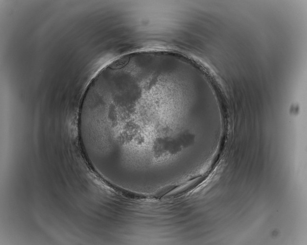 X0000100371409200806131027