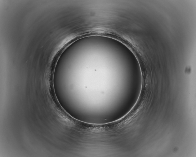 X0000100371410200806131027