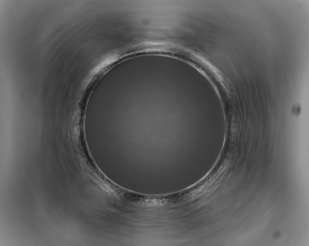 X0000100371411200806131027