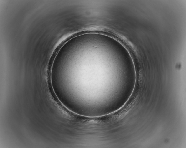 X0000100371412200806131027