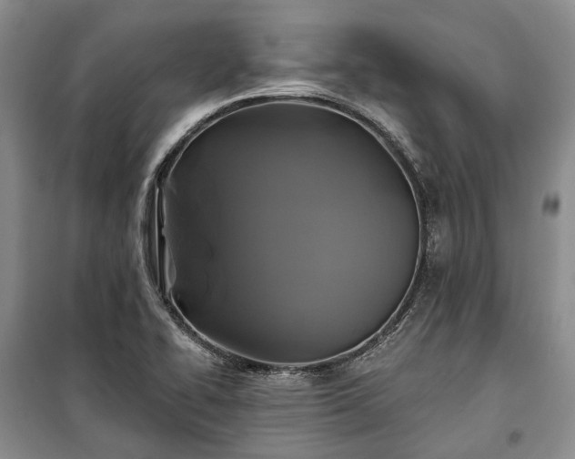 X0000100371414200806131027