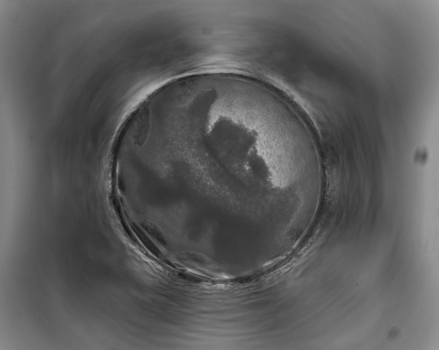 X0000100371415200806131027