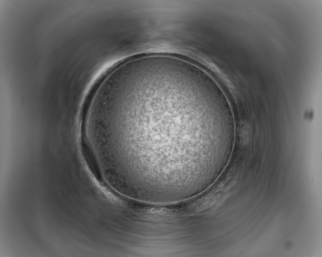 X0000100371416200806131027