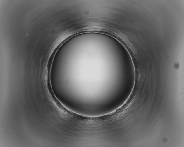 X0000100371418200806131027