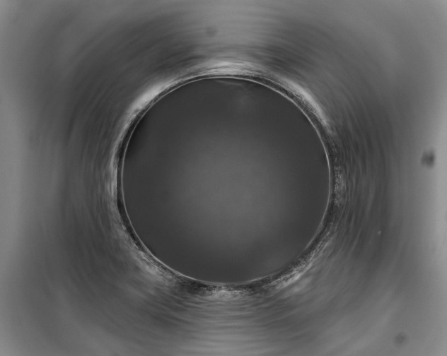 X0000100371419200806131027