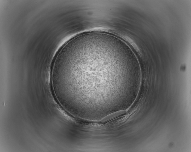 X0000100371420200806131027