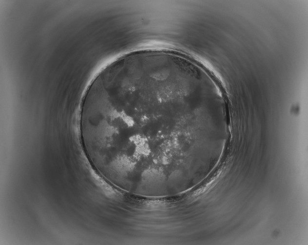 X0000100371421200806131027